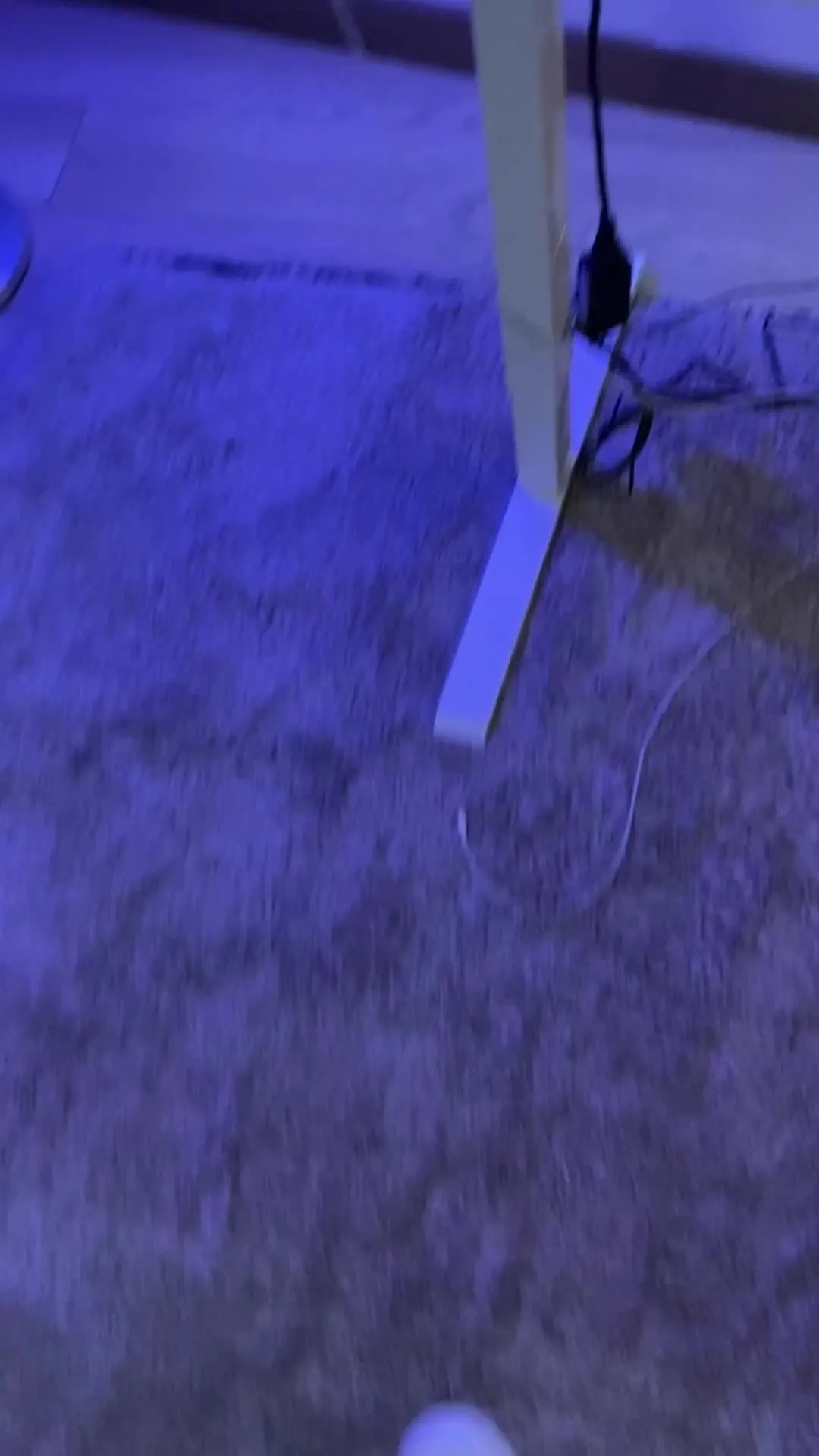 Miniature de la vidéo Hook marche vers le poster